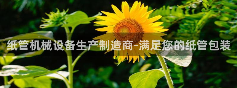 j9九游登陆