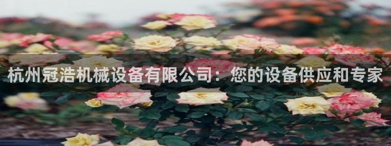 九游会平台稳定吗