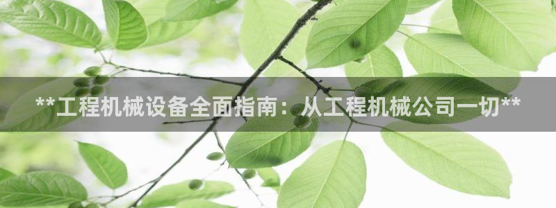 九游j9国际