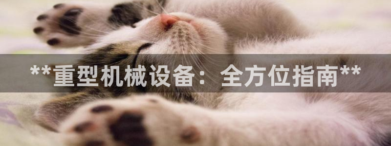 九游会中国j9