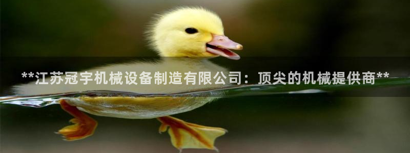 j9九游会最新官网
