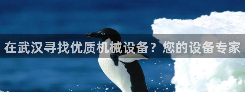 J9九游会国际