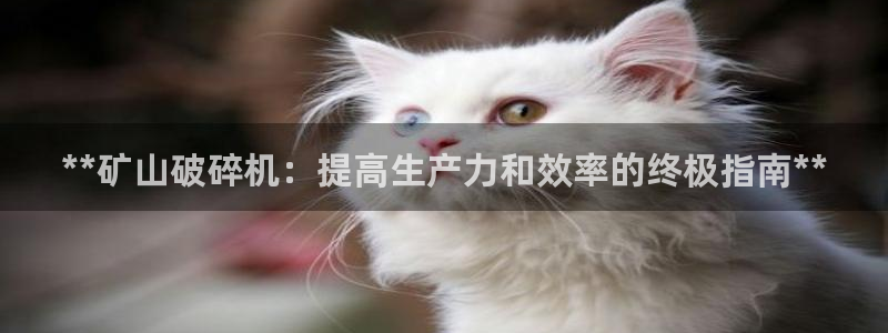 九游会视讯,九游会视讯厅