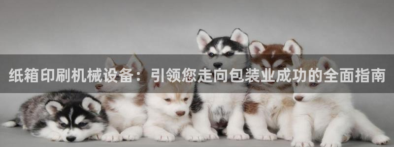 九游会官网网址
