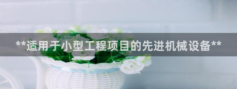 九游j9
