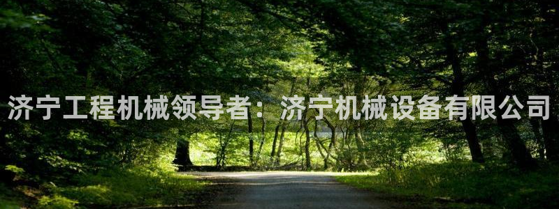 九游会是ag吗