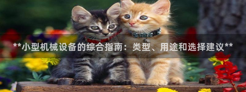 ag九游会