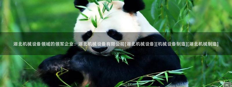 九游会.com