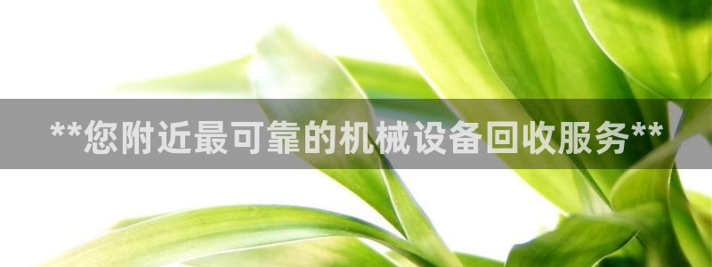 j9九游会网址