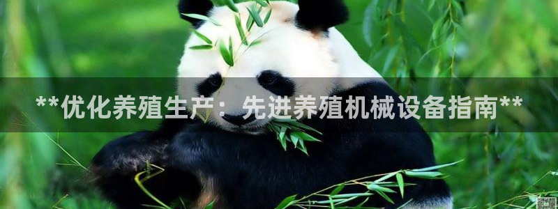 j9九游会导航