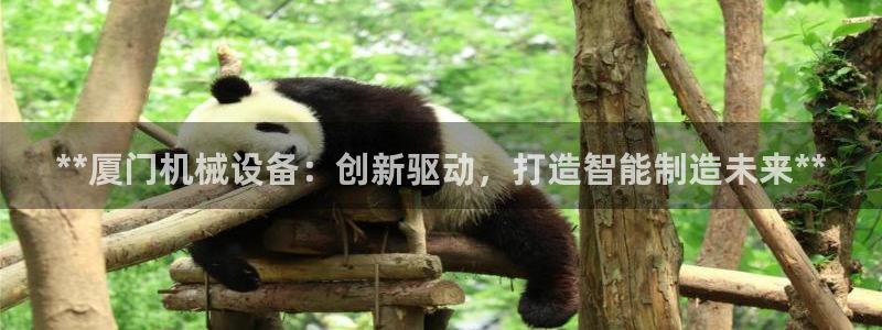 九游会 app