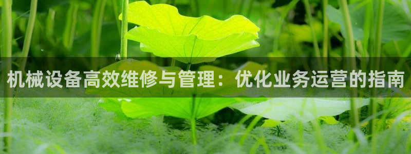 九游会登录网站吗