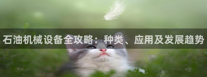 九游会国际厅登录 - j9九游会首页登录新版