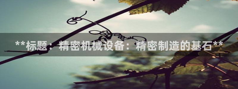 j9九游会官方网站国际