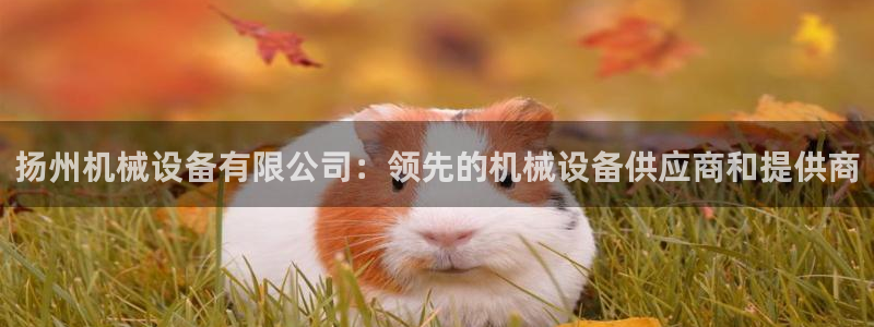 九游j9打不开