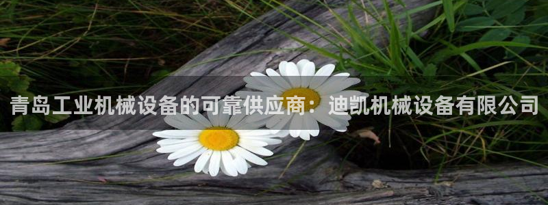 九游会 网址