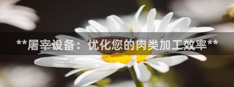 九游会手机版登录