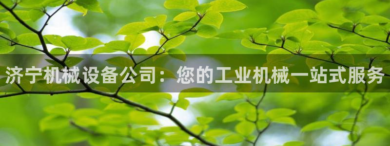 九游会官网进入口