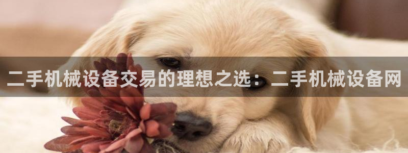 j9九游会老哥俱乐部联系方式