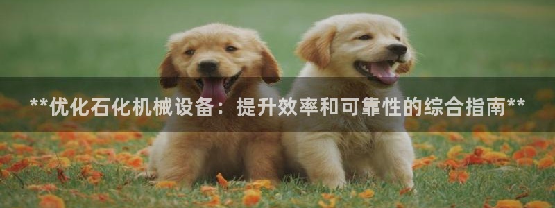 j9九游会官方网站国际怎么样