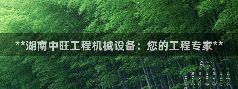 九游会官网站