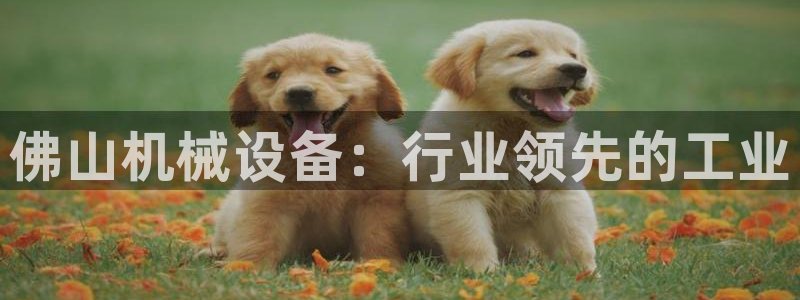 j9九游会app官网下载
