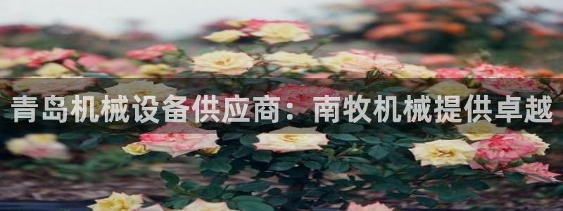 九游会官网老哥俱乐部