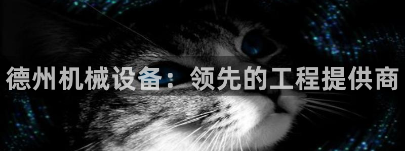 ag九游会app下载版官网正版