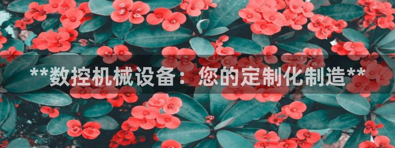 九游会第一真人视频游戏