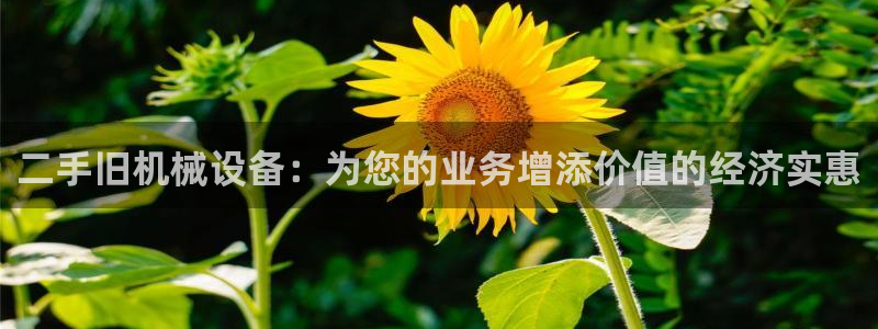 九游会ag官方网站在哪