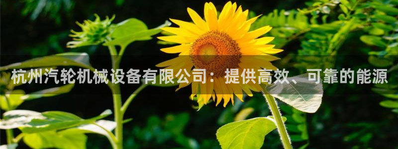 j9九游会体育