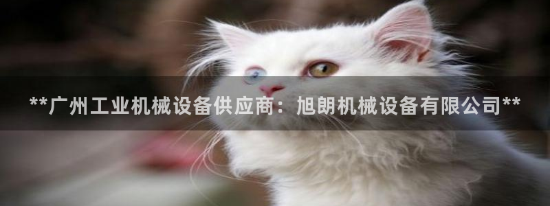j9九游会备用网址