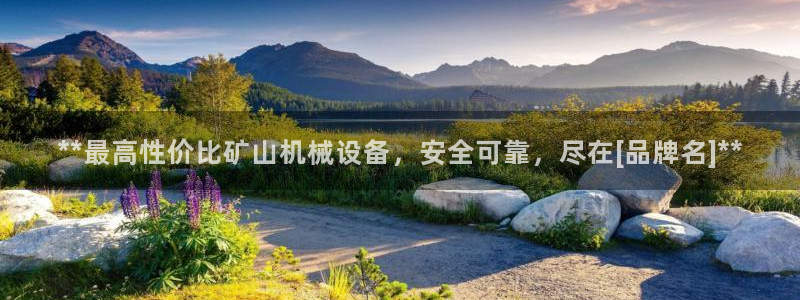 九游会app下载版官网正版安卓