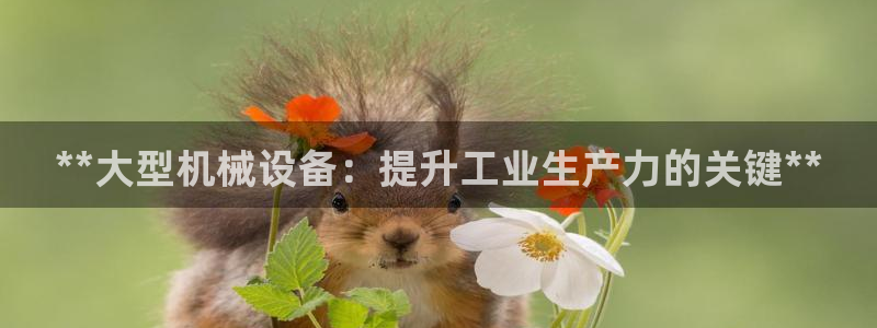 九游会贴吧