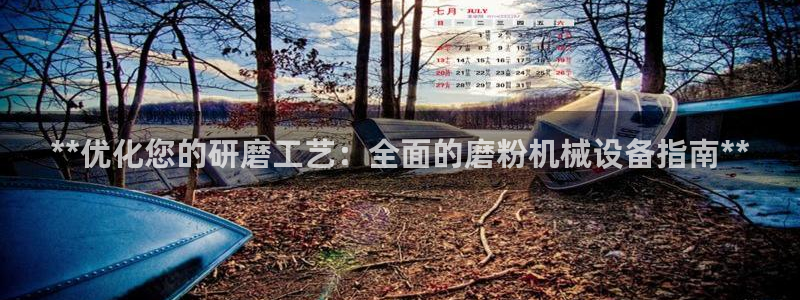 ag改名九游会