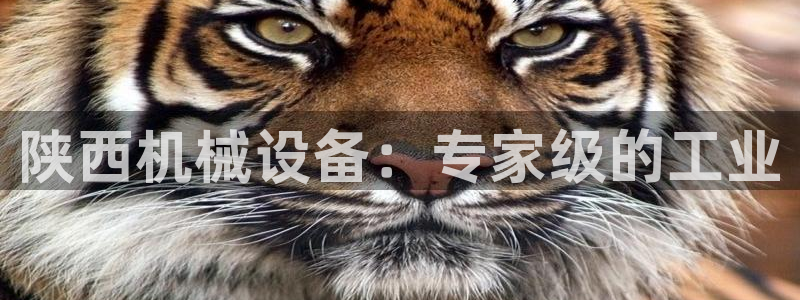 九游会ag真人官网|九游真人