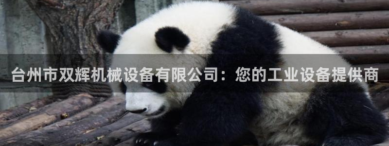 九游会app官方下载