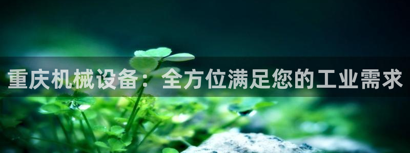 九游会网址登陆