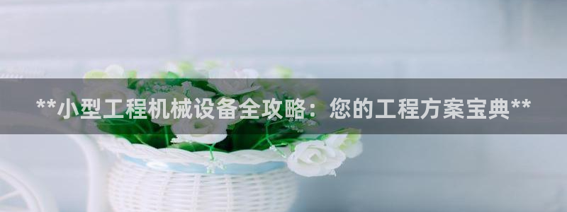 九游会亚洲官网