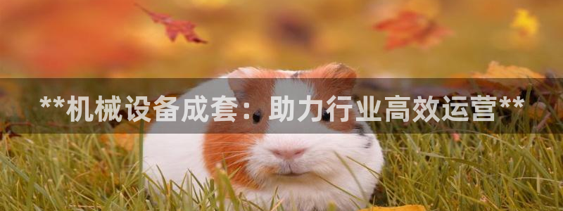 j9九游会永久域名