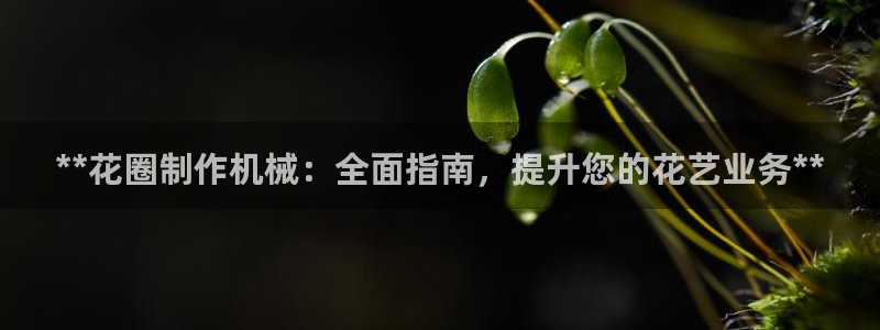 九游会集团菲律宾
