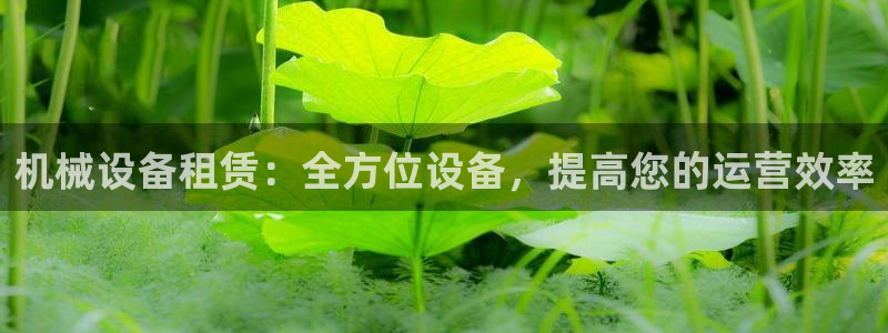 J9九游会试玩入口