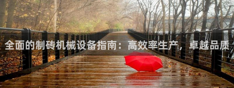 九游会是什么组织