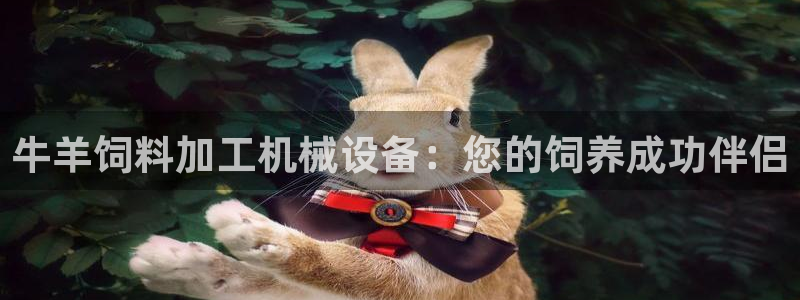 九游会集团正规吗