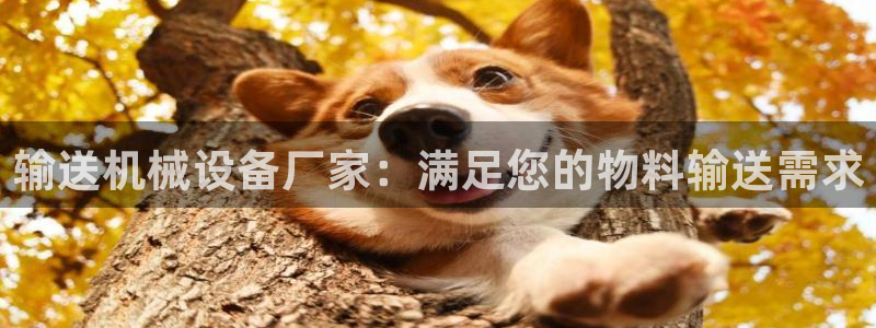 九游会ag官方网站