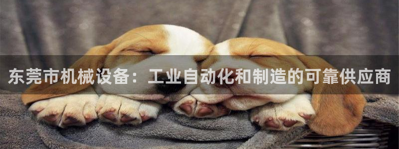 j9九游会平台