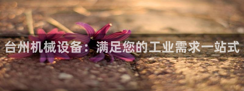 j9九游会真人游戏第一