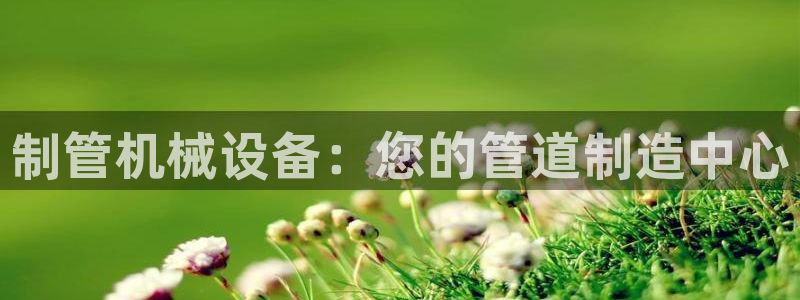 九游j9会