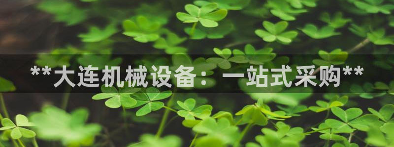 j9九游会怎么样