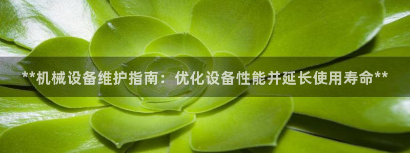 9游会老哥俱乐部